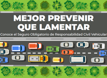 ION_PrevenirQueLamentar