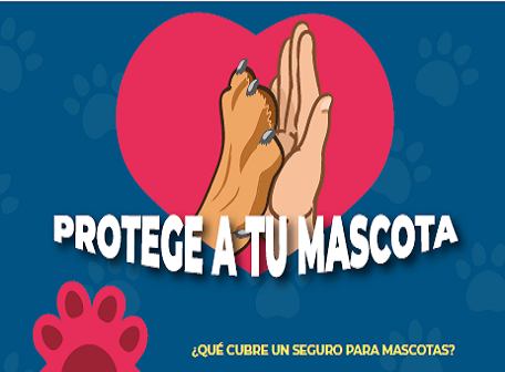 ION_ProtegeATuMascota