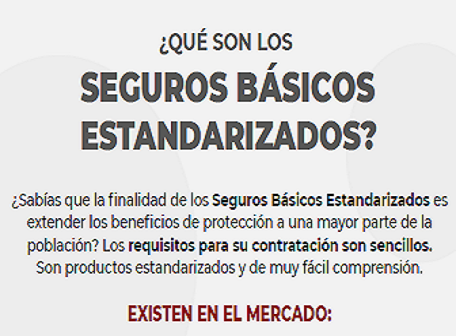 ION_seguros basicos estandar